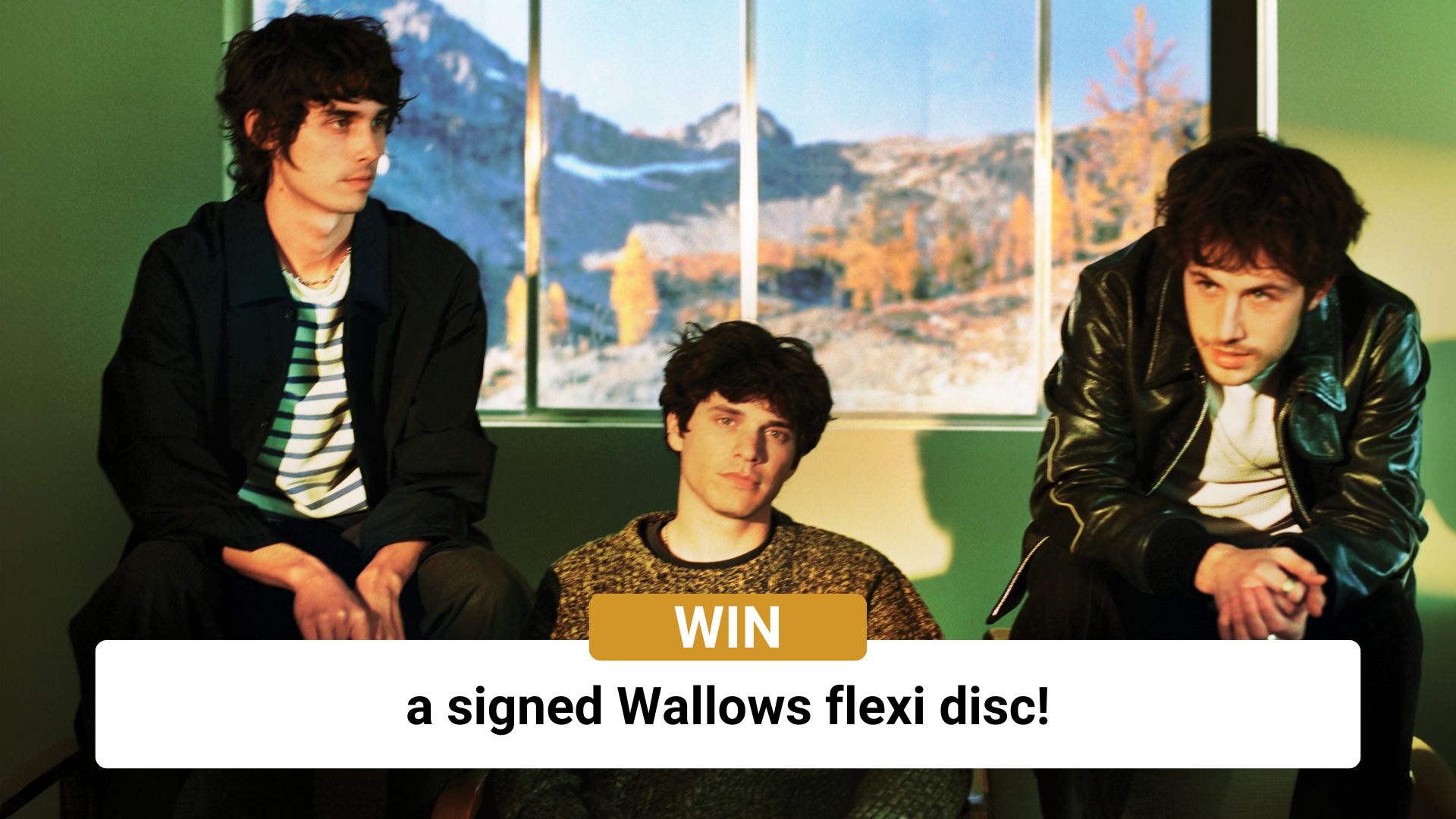 Win a signed Wallows flexi disc!