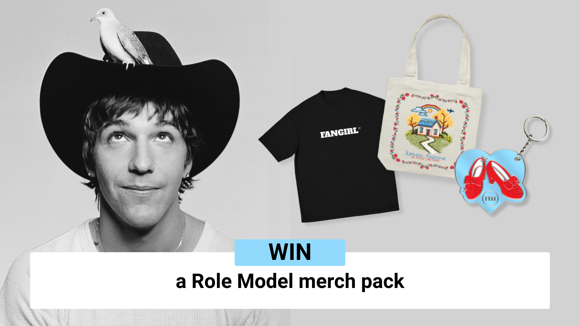 Role Model 2025 merch comp